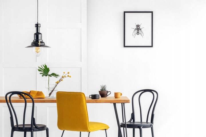 Farba biała do ścian i sufitów Lateksowa ŚNIEŻKA Super Latex 10L