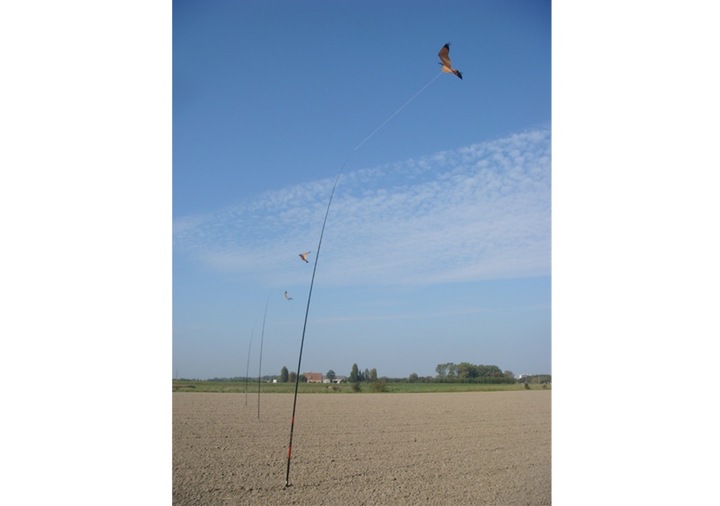 Odstraszacz Ptaków Duży Latawiec Jastrząb CH2