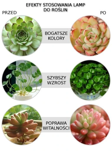 ŻARÓWKA LED GROW LIGHT DO UPRAWY ROŚLIN 20W E27