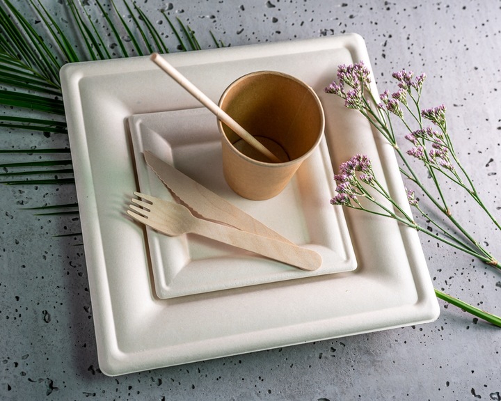 Zestaw z trzciny cukrowej kwadratowy brąz/12 osób