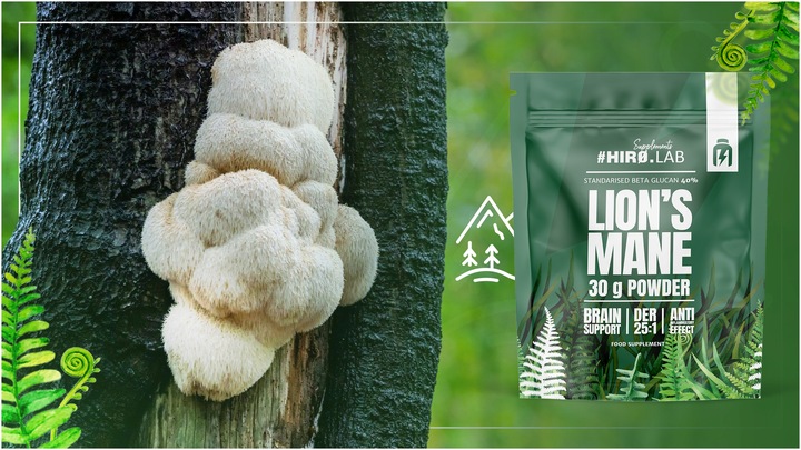 LION'S MANE SOPLÓWKA JEŻOWATA EKSTRAKT PAMIĘĆ 500mg DER 25:1 30g HIRO.LAB