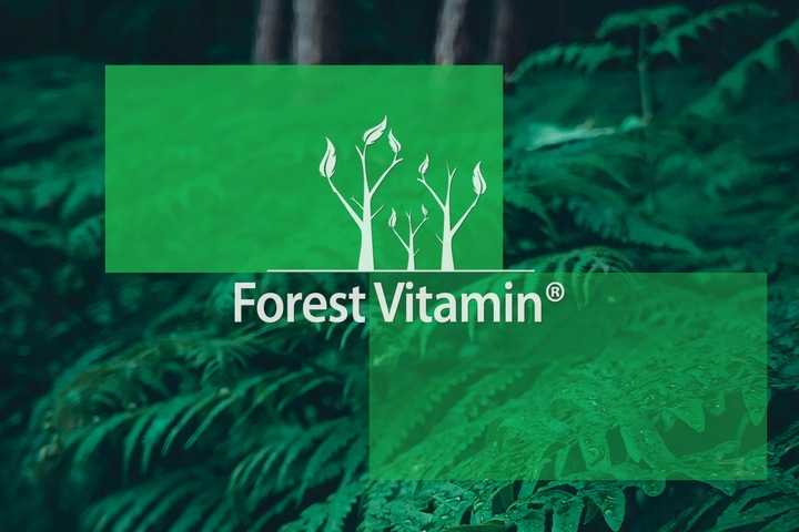 FOREST WITAMINA K2 MK-7 500mcg 100 tab NATURALNA