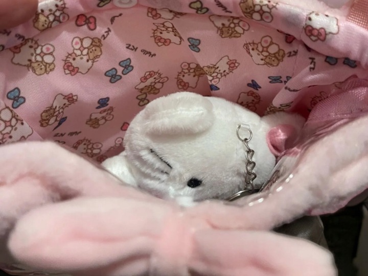 Torebka z Uroczym breloczkiem pluszowym Hello Kitty DZIECIĘCA MŁODZIEŻOWA