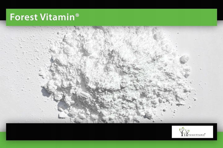 PURE CREATINE 500g KREATYNA MONOHYDRAT SIŁA MASA