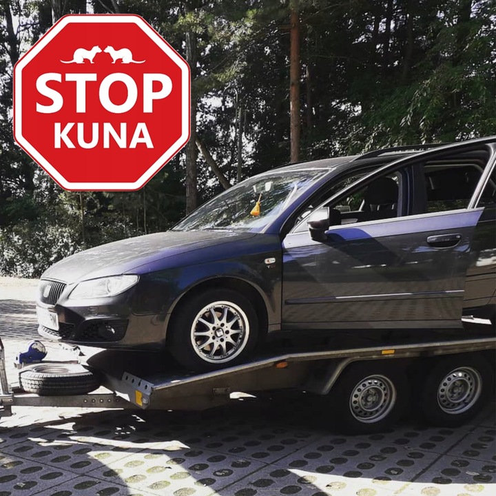 ODSTRASZACZ KUN SKUTECZNY NA ALLEGRO ŚRODEK NA KUNY DO SAMOCHODU