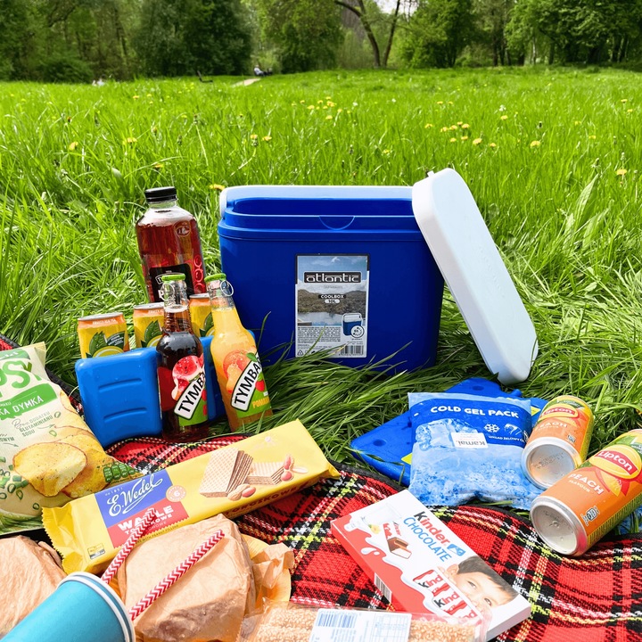 LODÓWKA TURYSTYCZNA 10L na WKŁADY MROŻĄCE do auta KAMPERA łodzi piknik