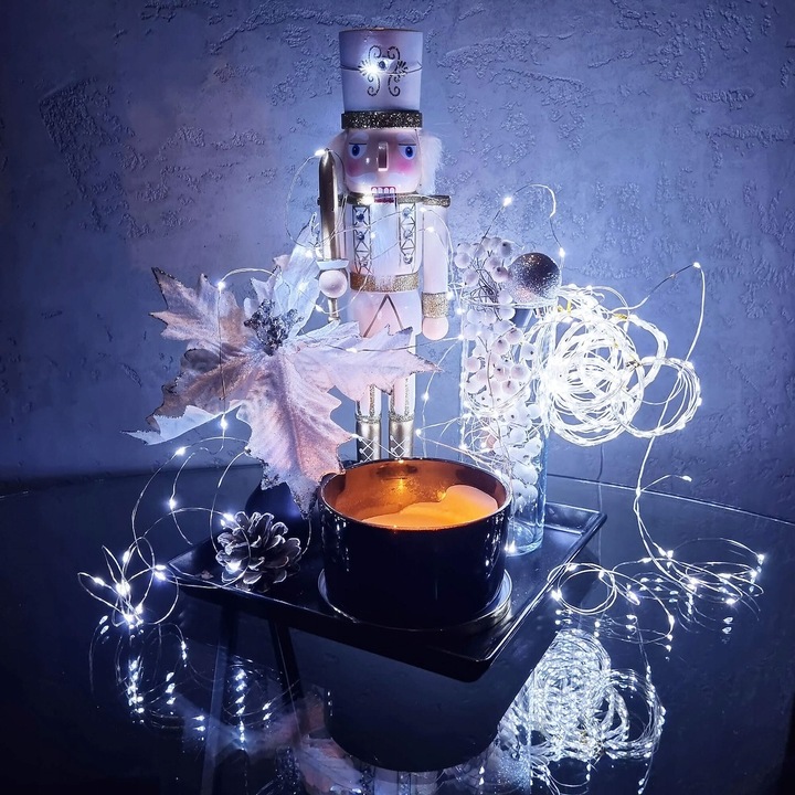 LAMPKI DRUCIKI 100LED MIKRO NA PRĄD ZIMNE BIAŁE ZASILACZ zew/wew 8 FUNKCJI