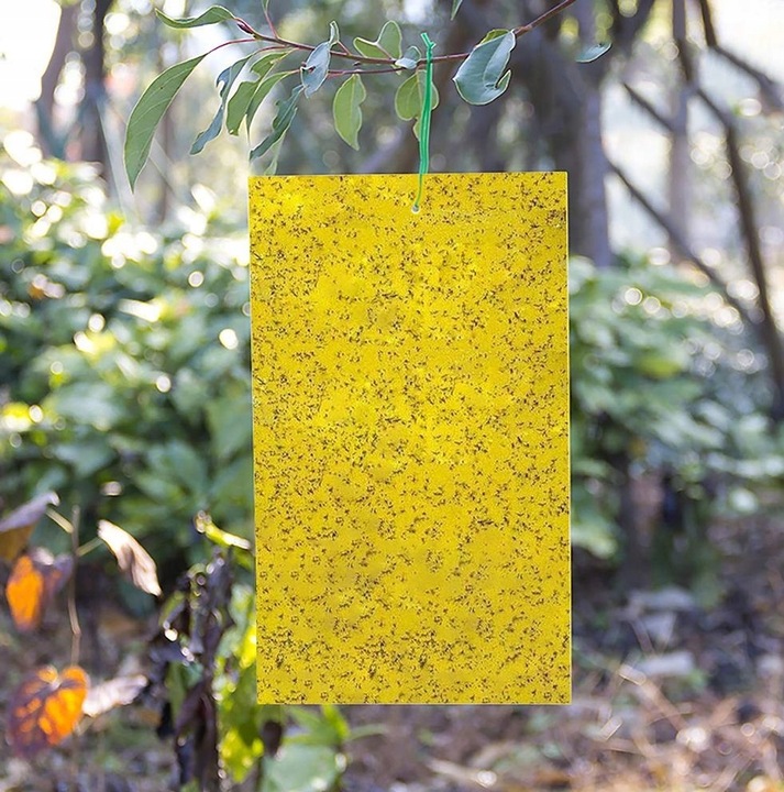 60x ŻÓŁTE LEPY DO DONICZEK DONICZKI NA MUSZKI MSZYCE OWADY ZIEMIÓRKI 60 SZT