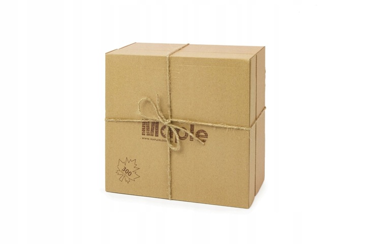 MAPLE Ecopack 300 klocków
