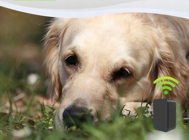 OBROŻA LOKALIZATOR GPS 1200mAh DLA ZWIERZĄT PSA KOT SOS APP BEZ ABONAMENTU