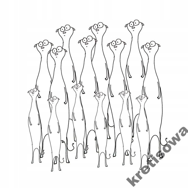 MĘSKA KOSZULKA SURYKATKA SURYKATKI WZORY s1c