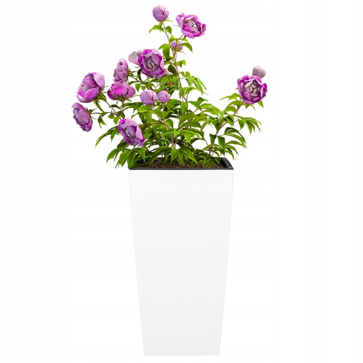 ZESTAW 3X DONICZKI DONICE BIAŁE MATOWE OGRODOWE KWIETNIK STOJĄCY Z WKŁADAMI