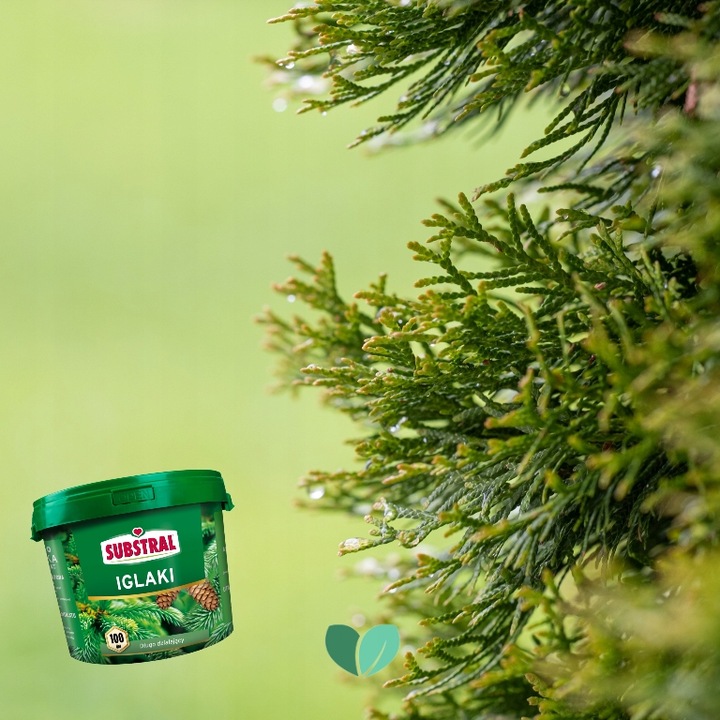 NAWÓZ DO IGLAKA 100DNI 5KG SUBSTRAL