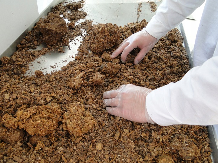 propolis (kit pszczeli) surowy polski 100 g