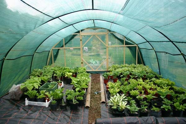 SIATKA CIENIUJĄCA 1,5x25m 62% MATA OSŁONA PŁOT OGRODZENIE OPASKI UV ZIELONA