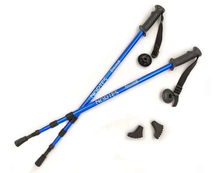 KIJE KIJKI TREKKINGOWE NORDIC EVOLUTION NORTES