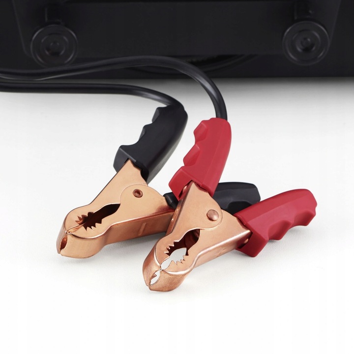 Ładowarka PROSTOWNIK WARSZTATOWY 10A 12V AEG WM10 Formula1 Limited Edition