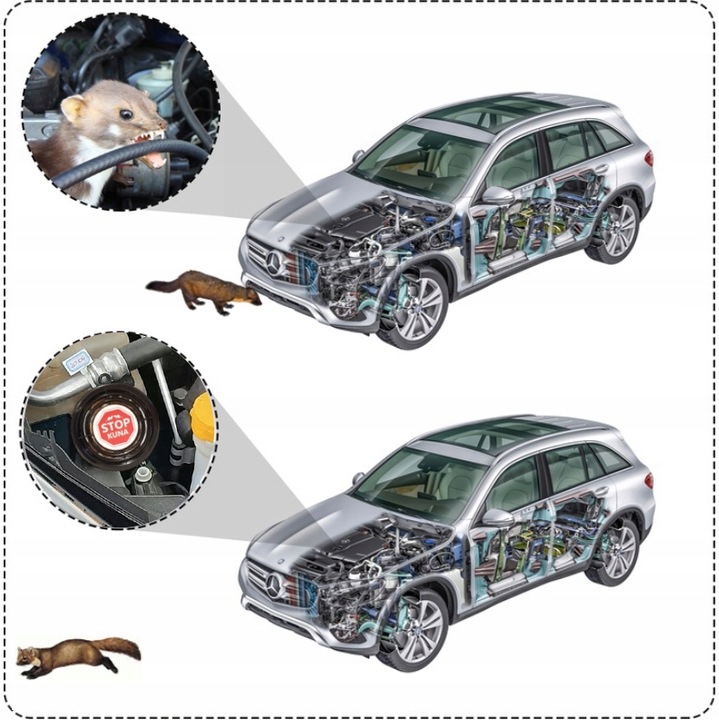 Nowość! KUNA STOP! Profesjonalny preparat NA KUNY!