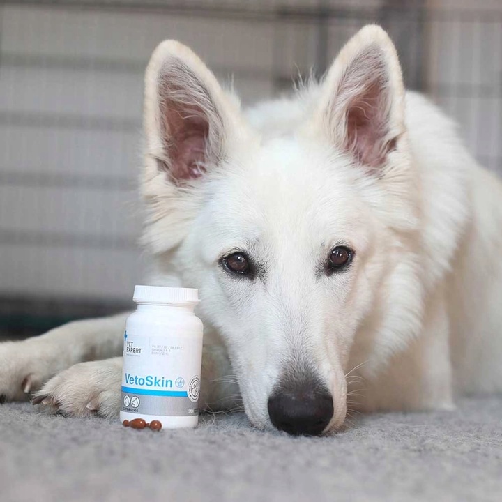 VET EXPERT VETOSKIN - preparat na skórę i sierść dla psów i kotów 90szt