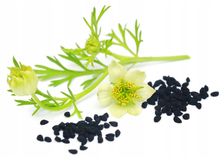 Olej z czarnuszki 250ml / BIOSWENA zimnotłoczony