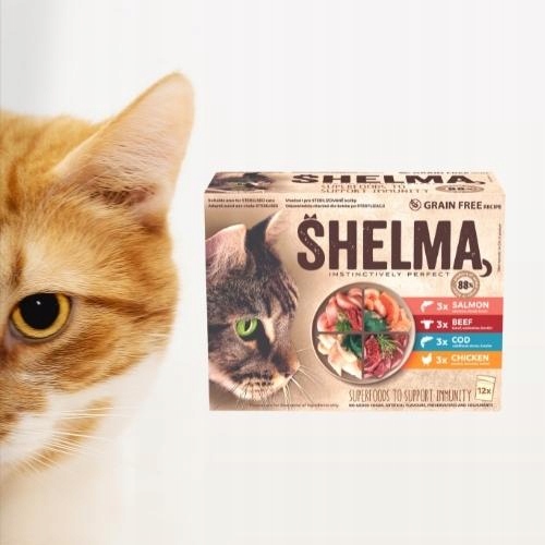 SHELMA MOKRA KARMA FILECIKI ŁOSOŚ DORSZ WOŁOWINA KURCZAK DLA KOTA 48X85G