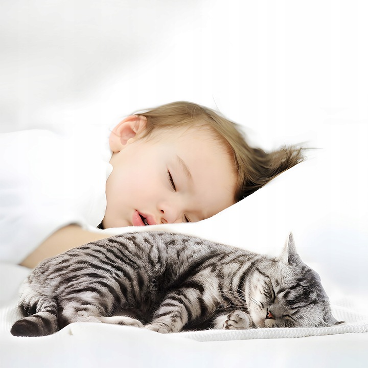 Poidełko Automatyczne Fontanna Wodna dla Kota Psa Miska Ciche Poidło +Filtr