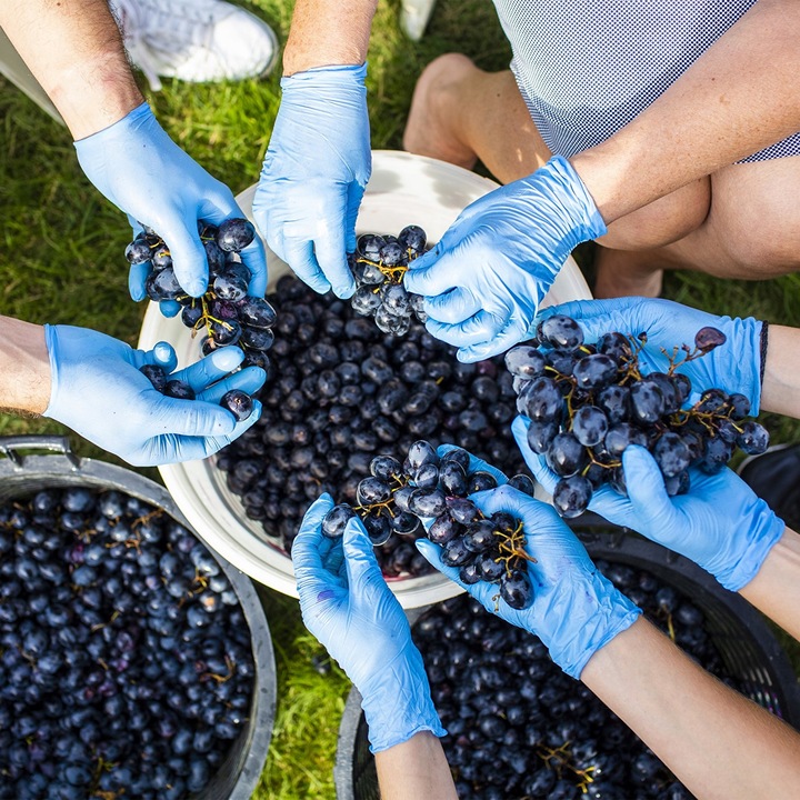 POJEMNIK WIADRO FERMENTACYJNY fermentor 30 L