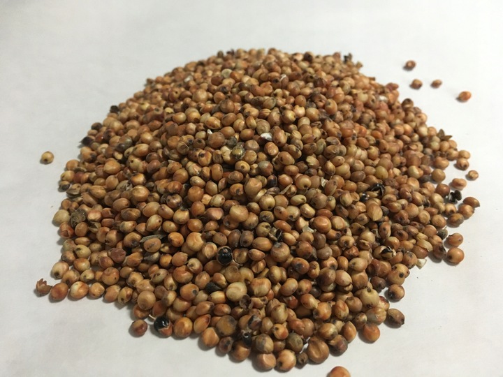 Pasza karma ziarna dla kur niosek bez GMO susz marchew pokrzywa NATURALNA