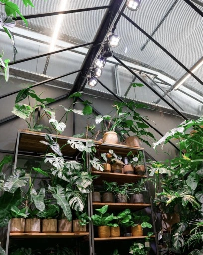 VERTICANA Żarówka do doświetlania roślin 35W czarna 45° oświetla z 2m