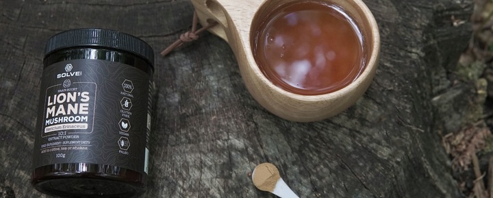 LION'S MANE 10:1 SOPLÓWKA JEŻOWATA 100G SOLVE LABS