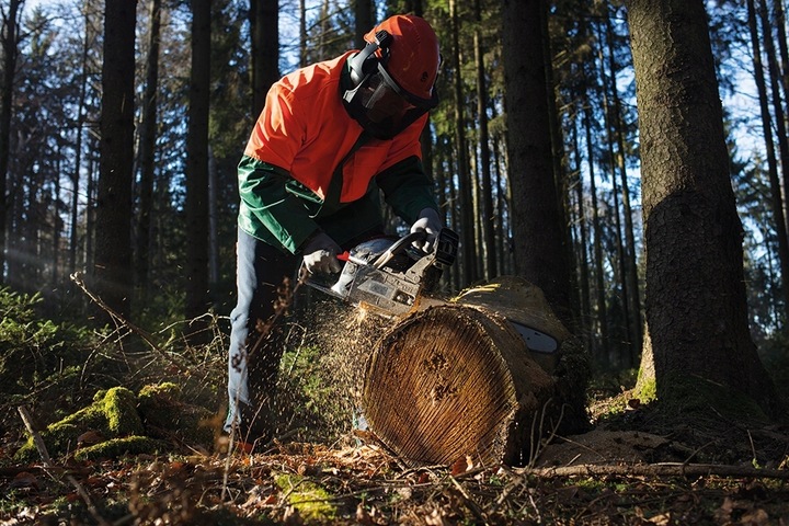PIŁA SPALINOWA PILARKA ŁAŃCUCHOWA DO DRZEWA 5.2KM 56cm3 + SIEKIERA + OLEJ