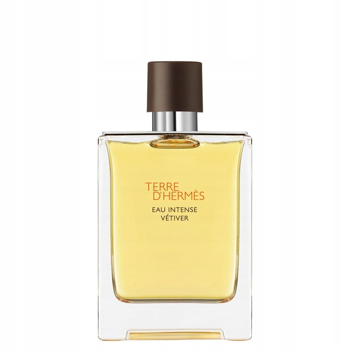 HERMES TERRE D'HERMES EAU INTENSE VETIVER 100 ML EDP FLAKON