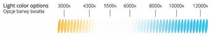 D1S 35W 1 żarówka ksenonowa żarnik XENON AMIO BASIC 6000K BARWA ZIMNA BIAŁA