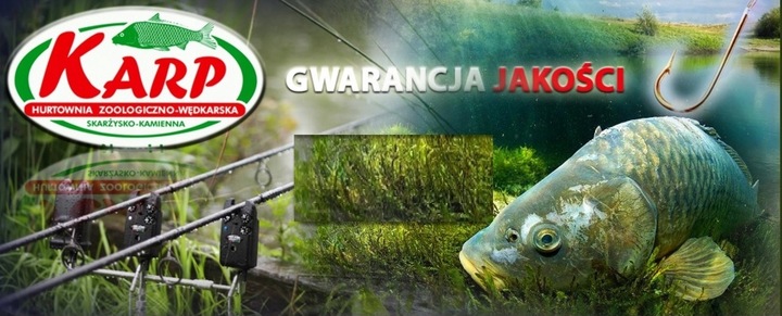 Karmnik dla wiewiórek drewniany - domek