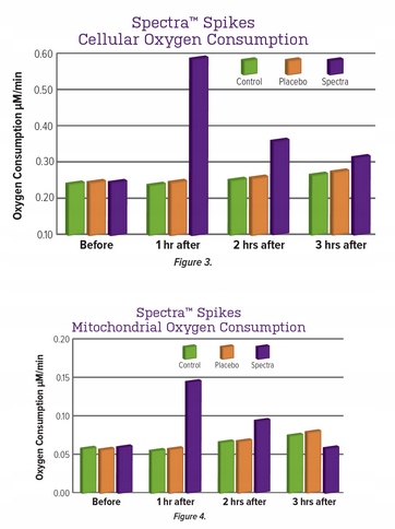 Aliness Premium Vitamin Complex 23 WITAMINY I MINERAŁY DLA MĘŻCZYZN 120t