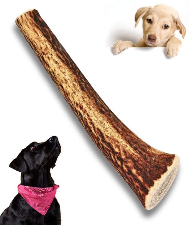 Gryzak NATURALNY poroże jelenia dla psa L HARD 15-17 cm