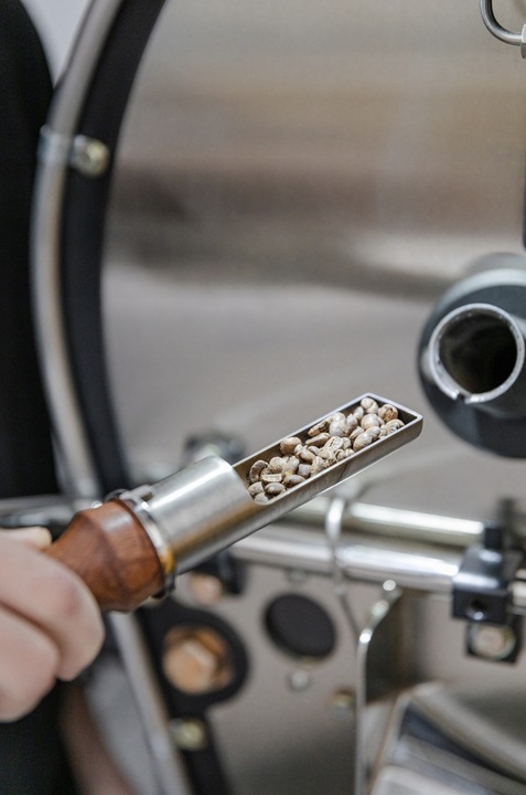 KAWA ZIARNISTA 1 kg FORTE blend BRAZYLIA palona w dniu zakupu DO EKSPRESU