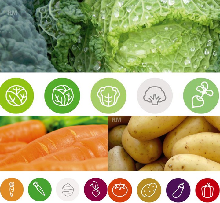 AZOPLON NPK 10-5-5 4kg NAWÓZ AZOT FOSFOR POTAS DO PLONVIT ADOB UNIWERSALNY