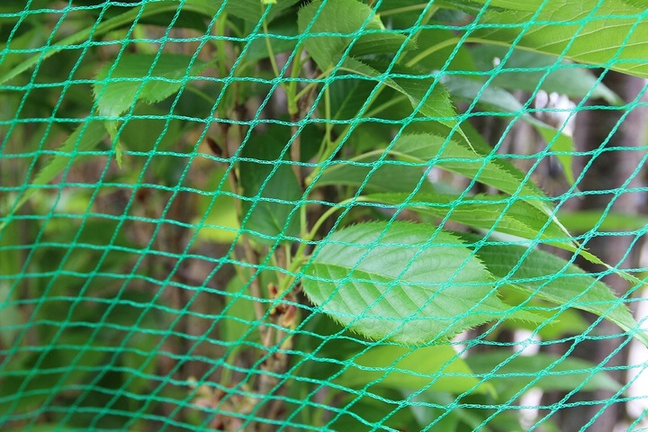 SIATKA NA OCZKO WODNE OCHRONNA NA truskawki PTAKI WZMACNIANA 4x5m +KOTWY