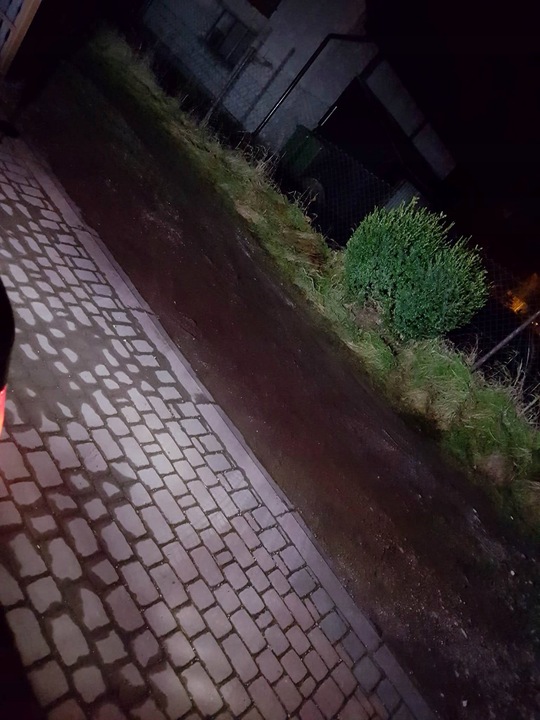 2x W16W 30 SMD ŻARÓWKA LED COFANIA WSTECZNE CAN