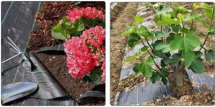 Agrowłóknina czarna 110x5000 cm mata antychwastowa