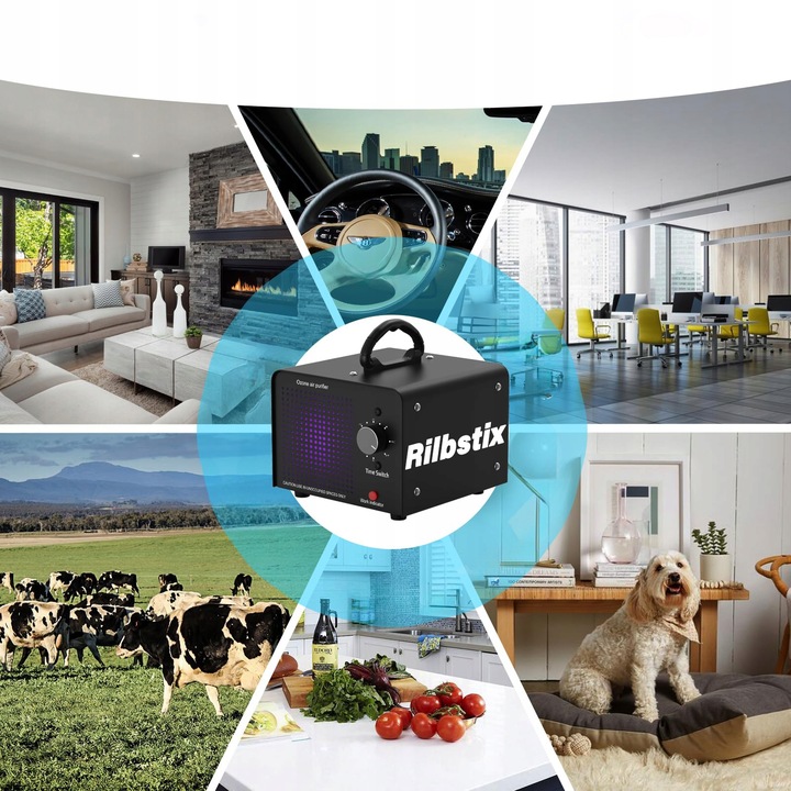 OZONATOR GENERATOR OZONU OCZYSZCZACZ DO POWIETRZA 60 000 mg/h +TIMER