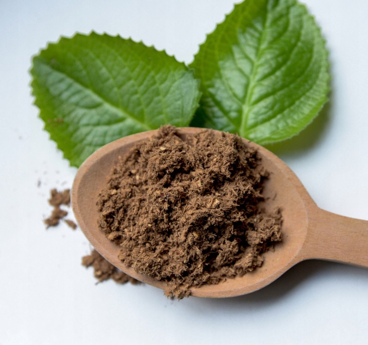 Reishi Ganoderma Lucidum 50g - ZDROWIE ODPORNOŚĆ