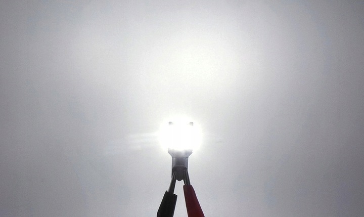 LED W16W, T15 12-24V 100% CAN biała bez błędu