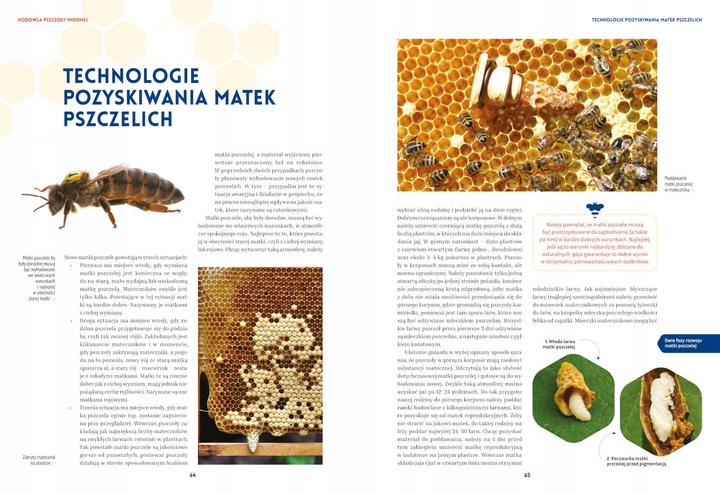 Pszczelarstwo, Jacek Nowak, Michał Piątek