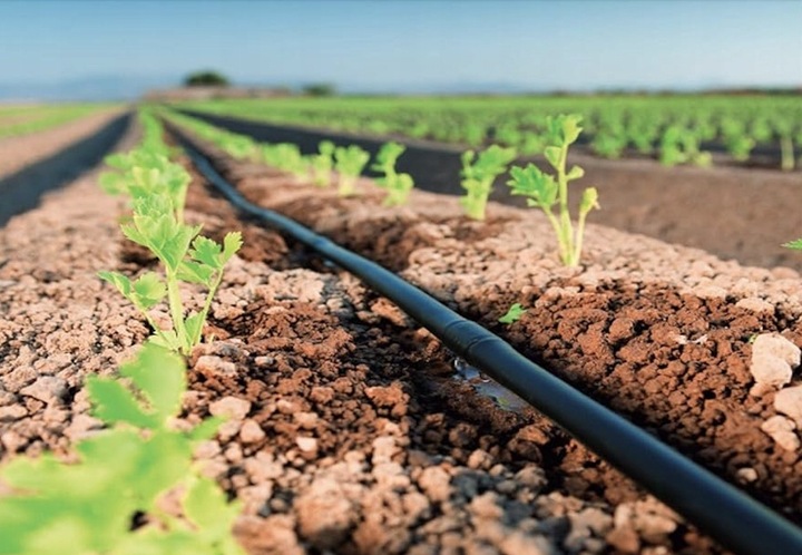 LINIA KROPLUJĄCA XXL 100m + 100el NAWODNIENIE KROPELKOWE WĄŻ KROPELKUJĄCY