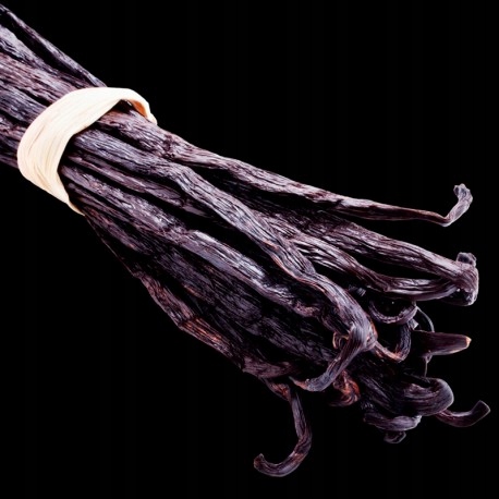 YODEYMA Paris_ADRIANA Eau de Parfum 50ml EDP