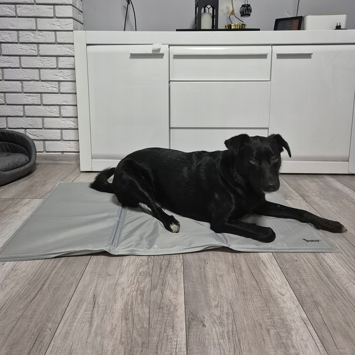 Mata Chłodząca dla Psa Kota Zwierząt Żelowa Składana XXL Legowisko 110x70cm