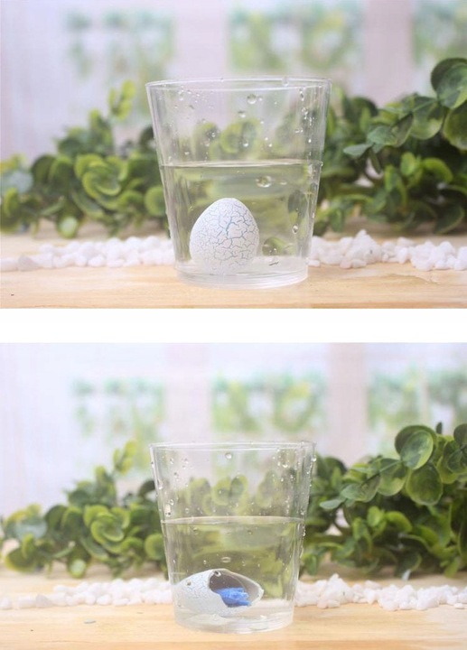 48x MAGICZNE JAJKO WYKLUWAJĄCY SIĘ DINOZAUR NIESPODZIANKA ROSNĄCY W WODZIE