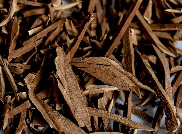 Grzyb REISHI susz 100g